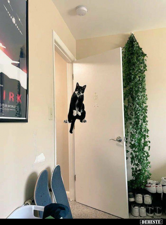  - Lustige Bilder | DEBESTE.de