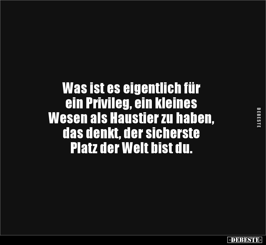 Was ist es eigentlich für 
ein Privileg, ein kleines 
Wesen als Haustier zu haben, 
das denkt, der sicherste 
Platz der W...