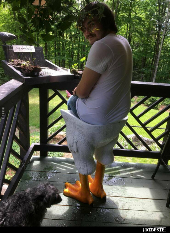  - Lustige Bilder | DEBESTE.de