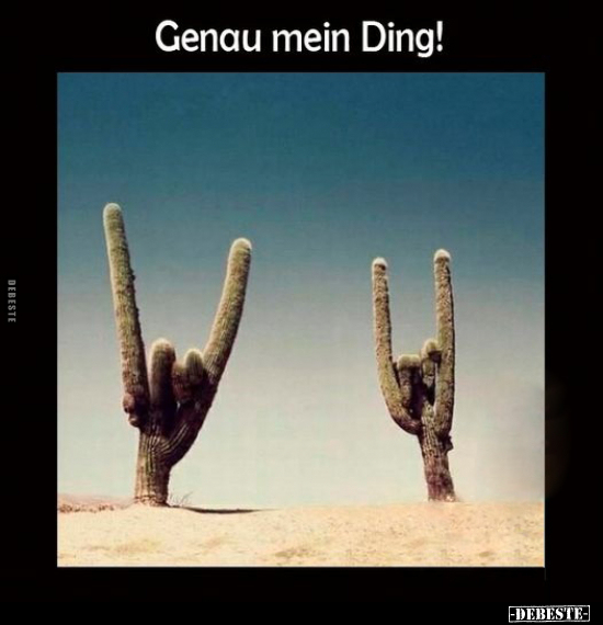 Genau mein Ding!