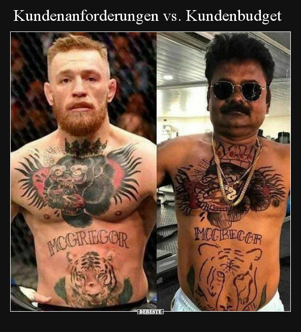 Kundenanforderungen vs. Kundenbudget..