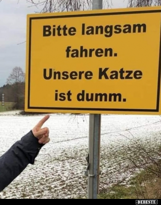 Bitte langsam fahren. Unsere Katze ist dumm... - Lustige Bilder | DEBESTE.de