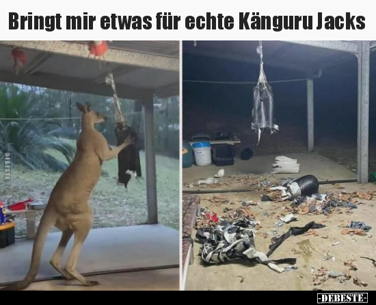 Bringt mir etwas für echte Känguru Jacks.. - Lustige Bilder | DEBESTE.de