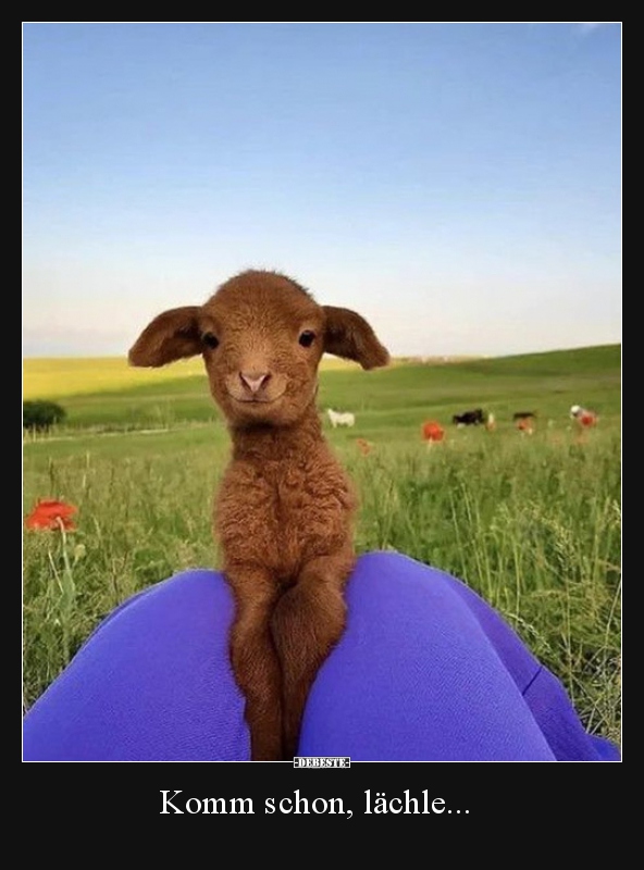 Komm schon, lächle...