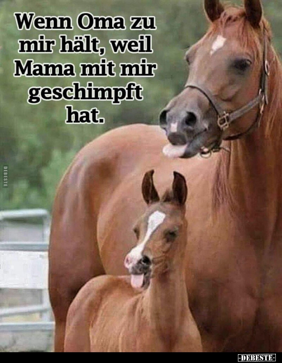 Wenn Oma zu mir hält, weil Mama mit mir geschimpft hat... - Lustige Bilder | DEBESTE.de