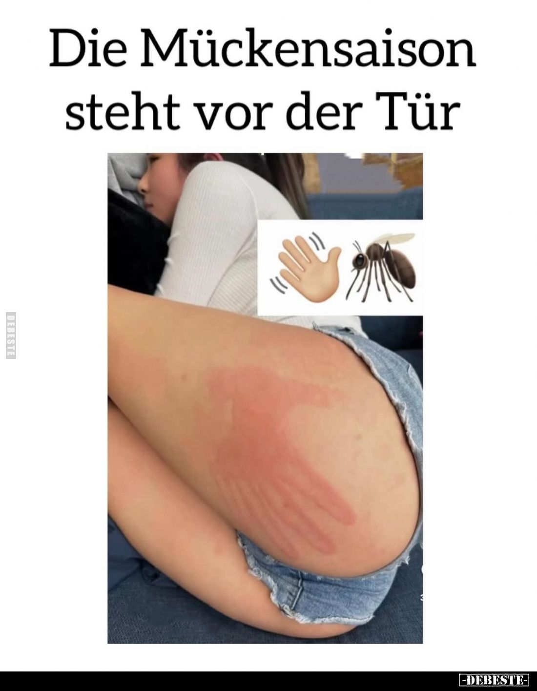 Die Mückensaison steht vor der Tür