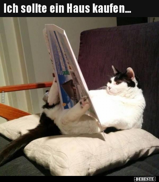 Ich sollte ein Haus kaufen...