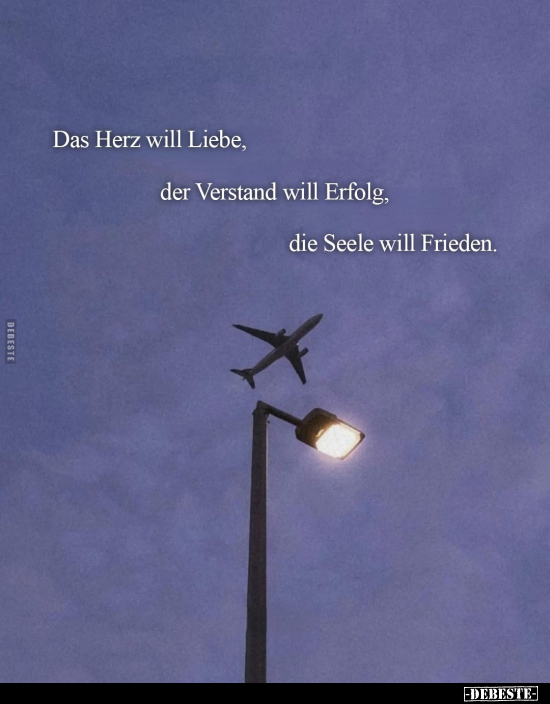 Das Herz will Liebe, der Verstand will Erfolg.. - Lustige Bilder | DEBESTE.de