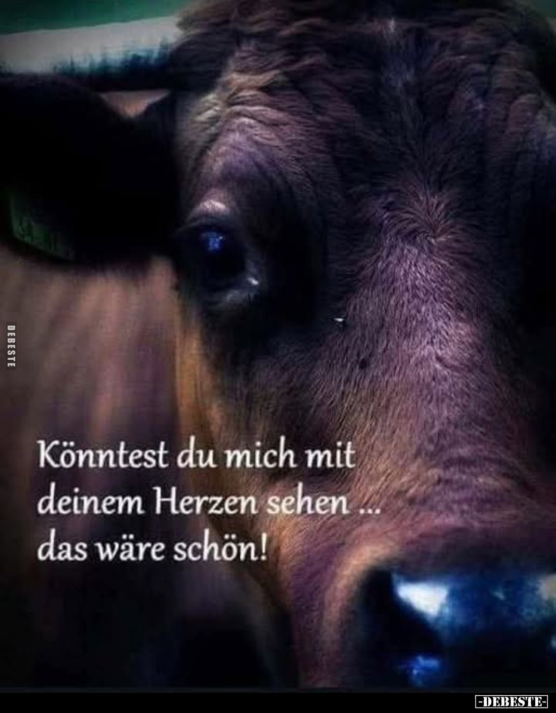 Könntest du mich mit deinem Herzen sehen das wäre schön!