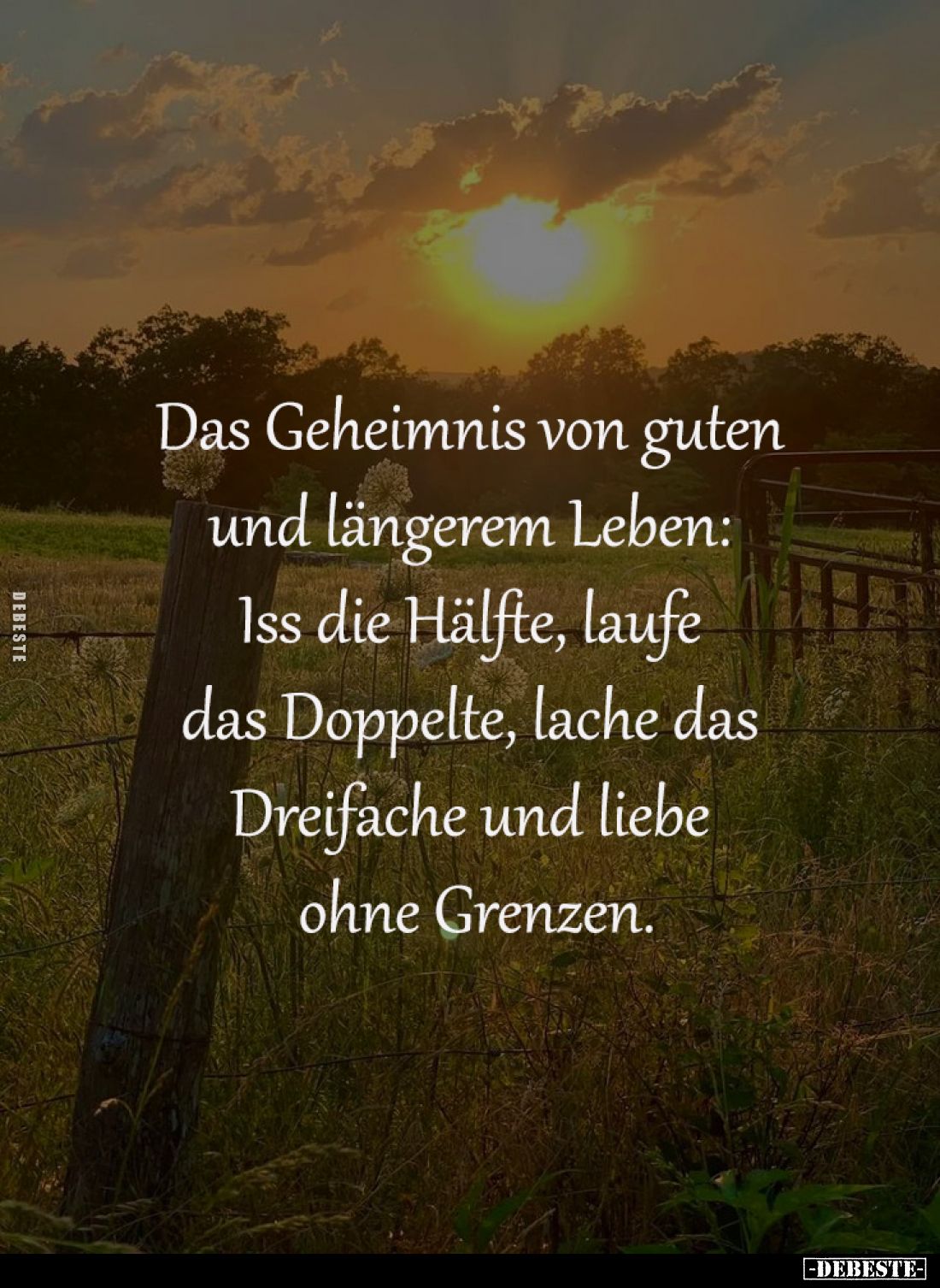 Das Geheimnis von guten 
und längerem Leben: 
Iss die Hälfte, laufe 
das Doppelte, lache das 
Dreifache und liebe 
ohne ...