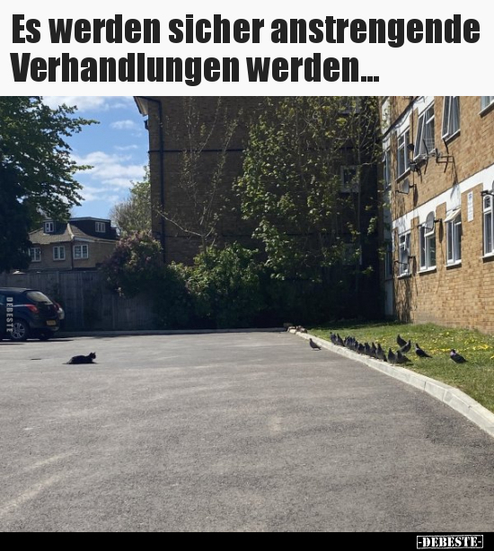 Es werden sicher anstrengende Verhandlungen werden...