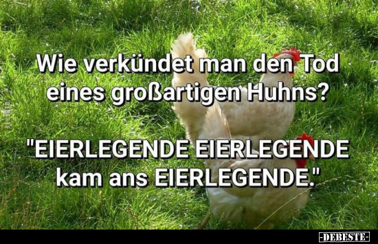 Wie verkündet man den Tod eines großartigen Huhns?.. - Lustige Bilder | DEBESTE.de