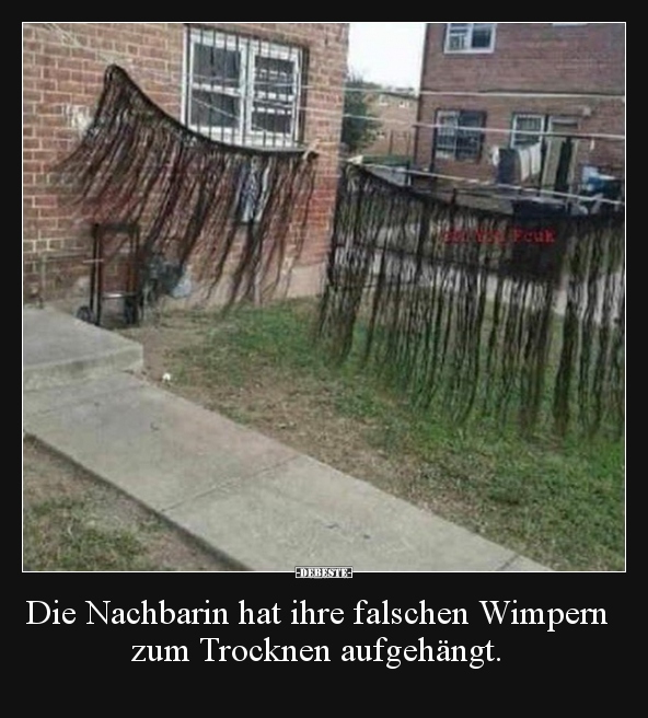 Die Nachbarin hat ihre falschen Wimpern zum Trocknen.. - Lustige Bilder | DEBESTE.de