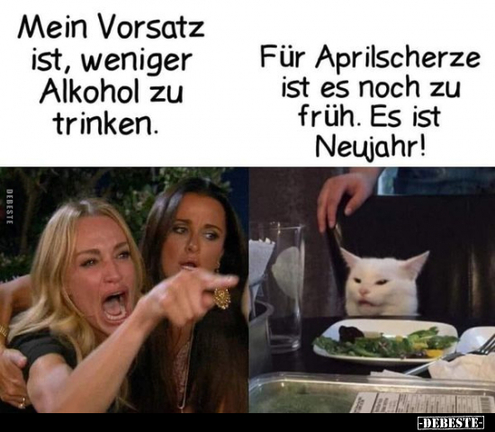 Mein Vorsatz ist, weniger Alkohol zu trinken.. - Lustige Bilder | DEBESTE.de
