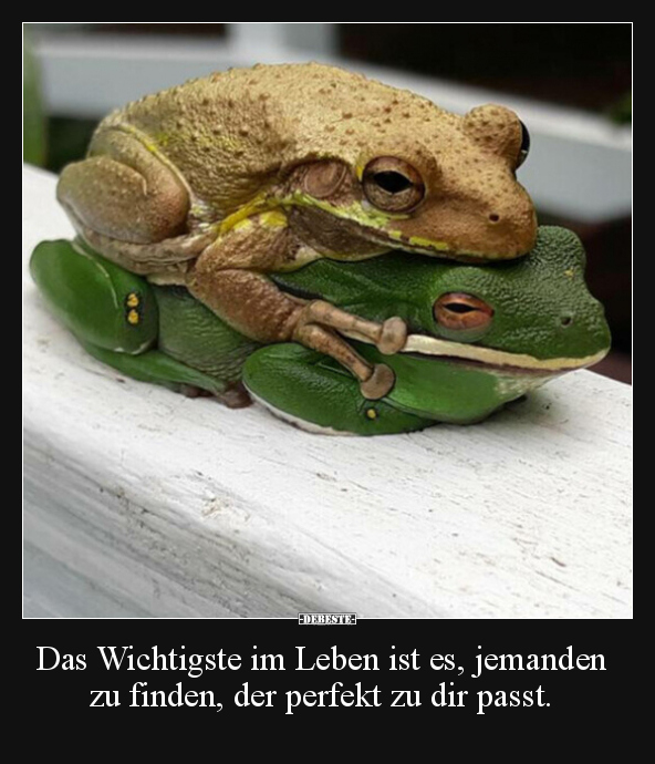 Das Wichtigste im Leben ist es, jemanden zu finden, der.. - Lustige Bilder | DEBESTE.de