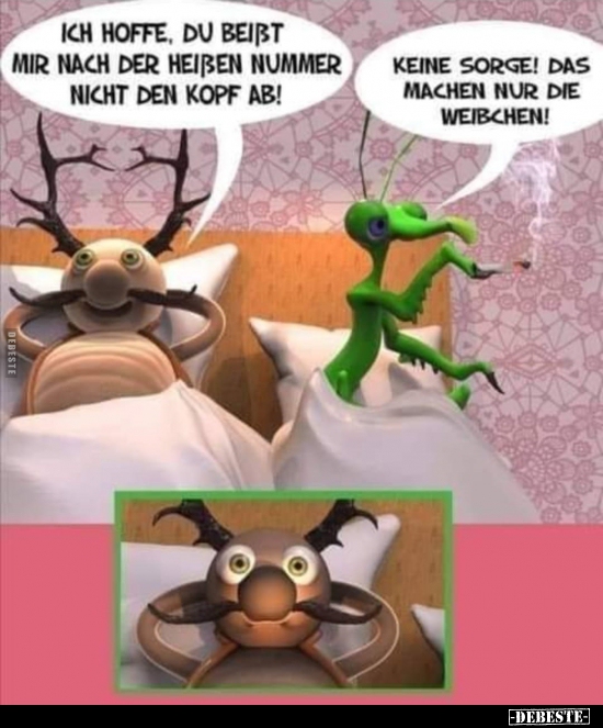 Ich hoffe, du bleibst mir nach der heißen Nummer nicht den..