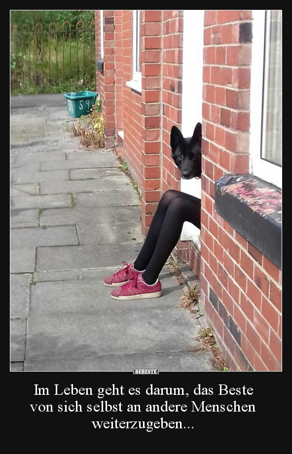 Im Leben geht es darum, das Beste von sich selbst an..