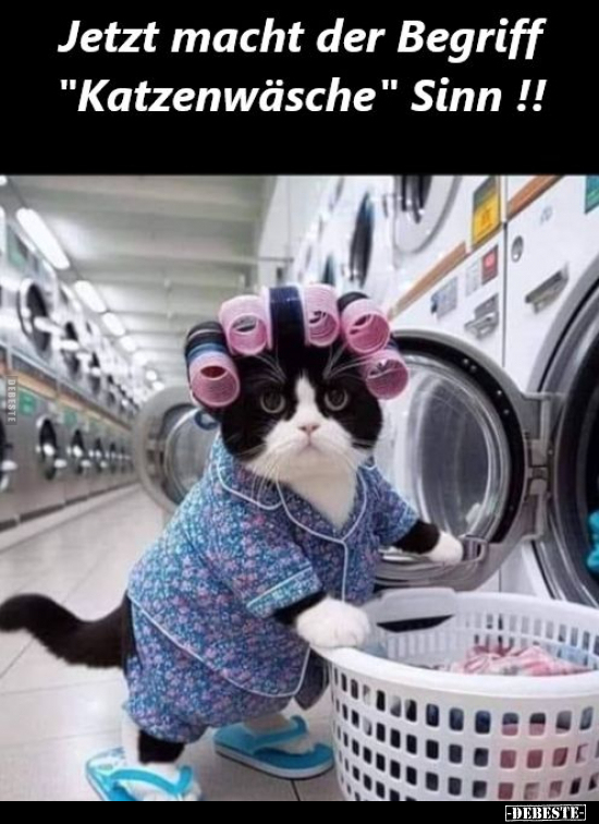 Jetzt macht der Begriff "Katzenwäsche" Sinn!!.. - Lustige Bilder | DEBESTE.de