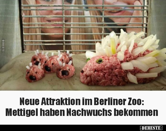 Neue Attraktion im Berliner Zoo: Mettigel haben Nachwuchs.. - Lustige Bilder | DEBESTE.de