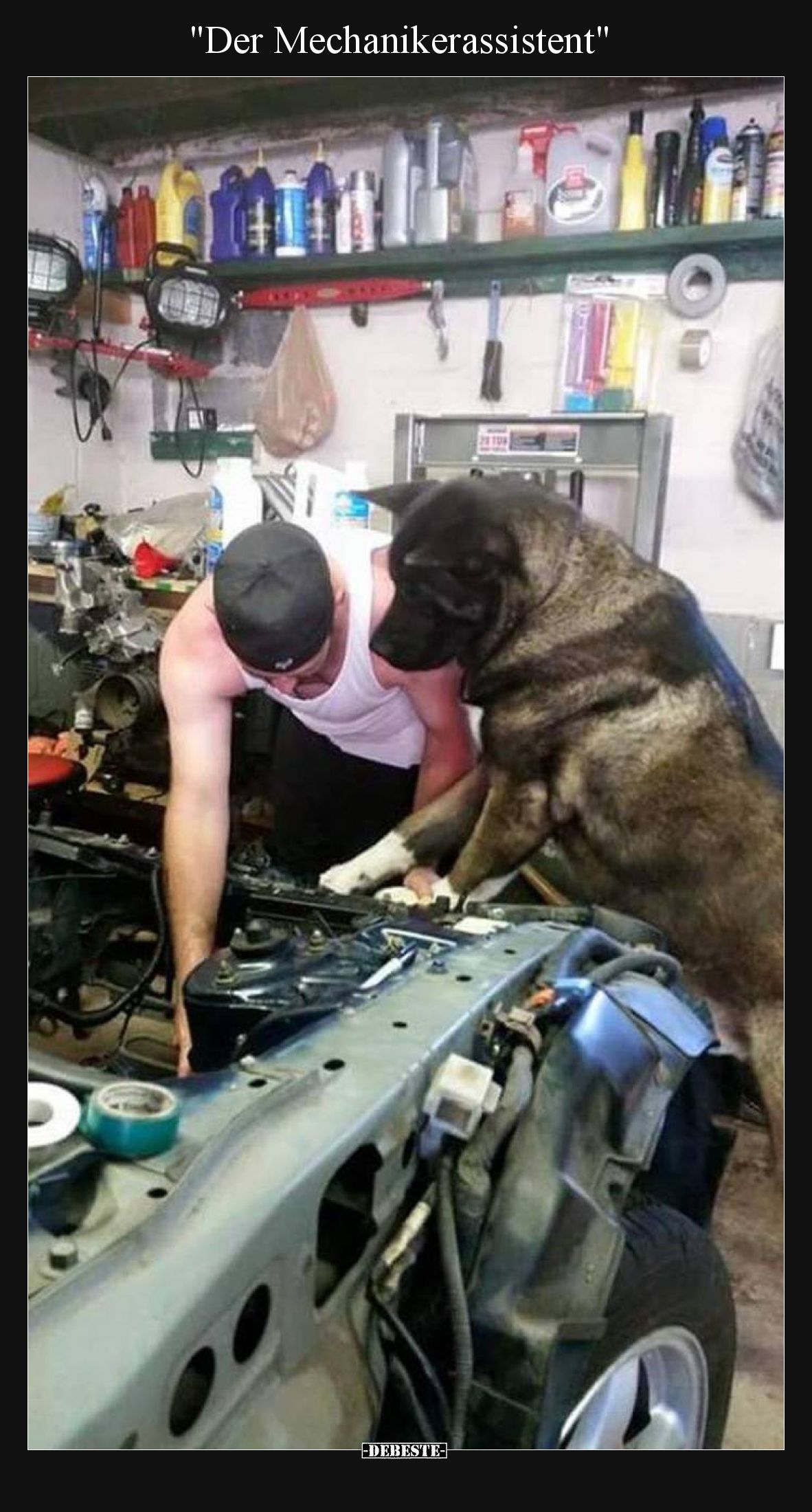 Der Mechanikerassistent