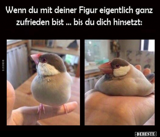 Wenn du mit deiner Figur eigentlich ganz zufrieden bist... - Lustige Bilder | DEBESTE.de