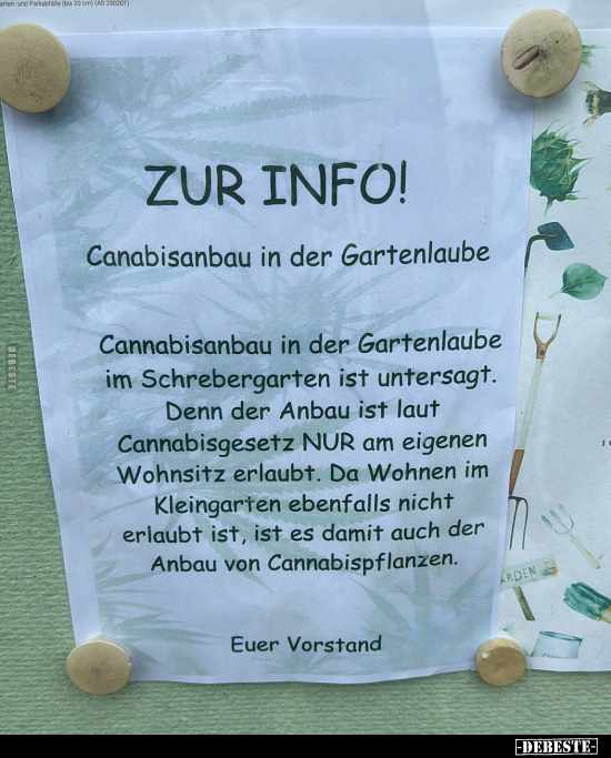 ZUR INFO! - Canabisanbau in der Gartenlaube.. - Lustige Bilder | DEBESTE.de