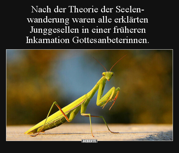 Nach der Theorie d er Seelenwanderung waren alle erklärten.. - Lustige Bilder | DEBESTE.de