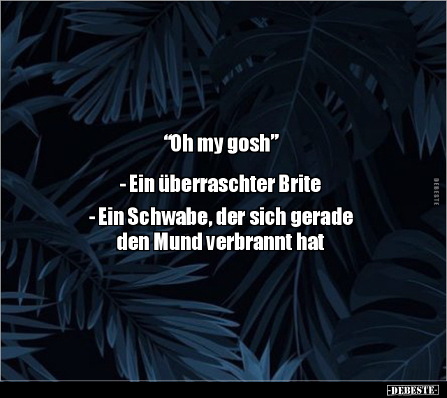 "Oh my gosh” - Ein überraschter Brite - Ein Schwabe, der.. - Lustige Bilder | DEBESTE.de