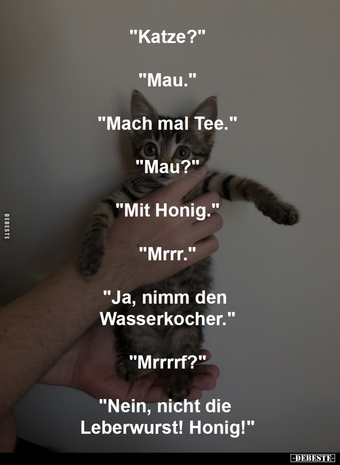 "Katze?"
-
"Mau."
-
"Mach mal Tee."
-
"Mau?"
-
"Mit Honig."
-
&qu...