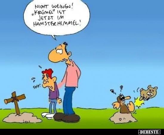 Nicht weinen! "Krümel" ist jetzt im Hamsterhimmel!.. - Lustige Bilder | DEBESTE.de