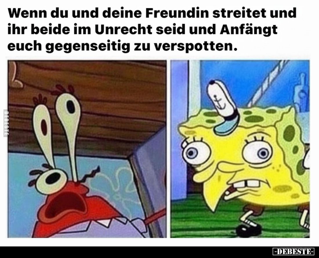 Wenn du und deine Freundin streitet und ihr beide im.. - Lustige Bilder | DEBESTE.de