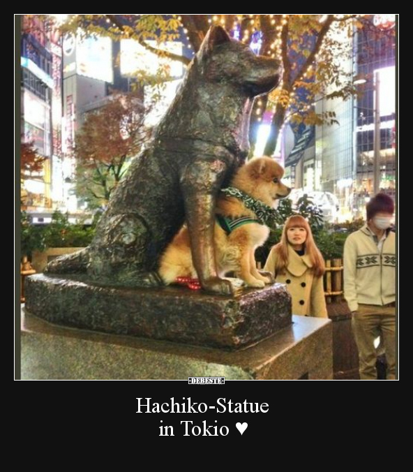 Hachiko-Statue in Tokio.. - Lustige Bilder | DEBESTE.de