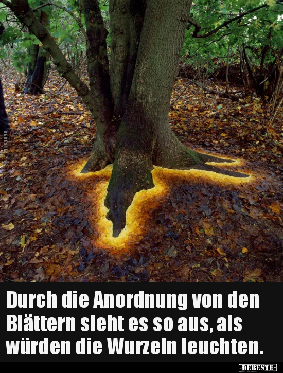 Durch die Anordnung von den Blättern sieht es so aus.. - Lustige Bilder | DEBESTE.de