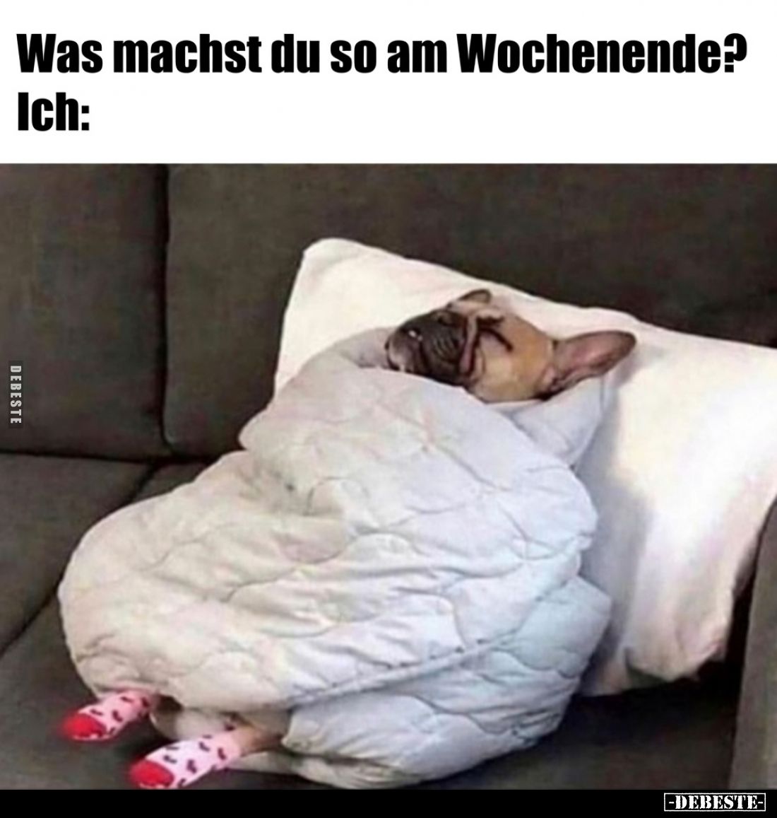 Was machst du so am Wochenende?... - Lustige Bilder | DEBESTE.de