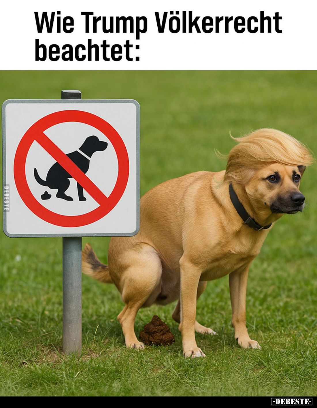 Wie Trump Völkerrecht beachtet: