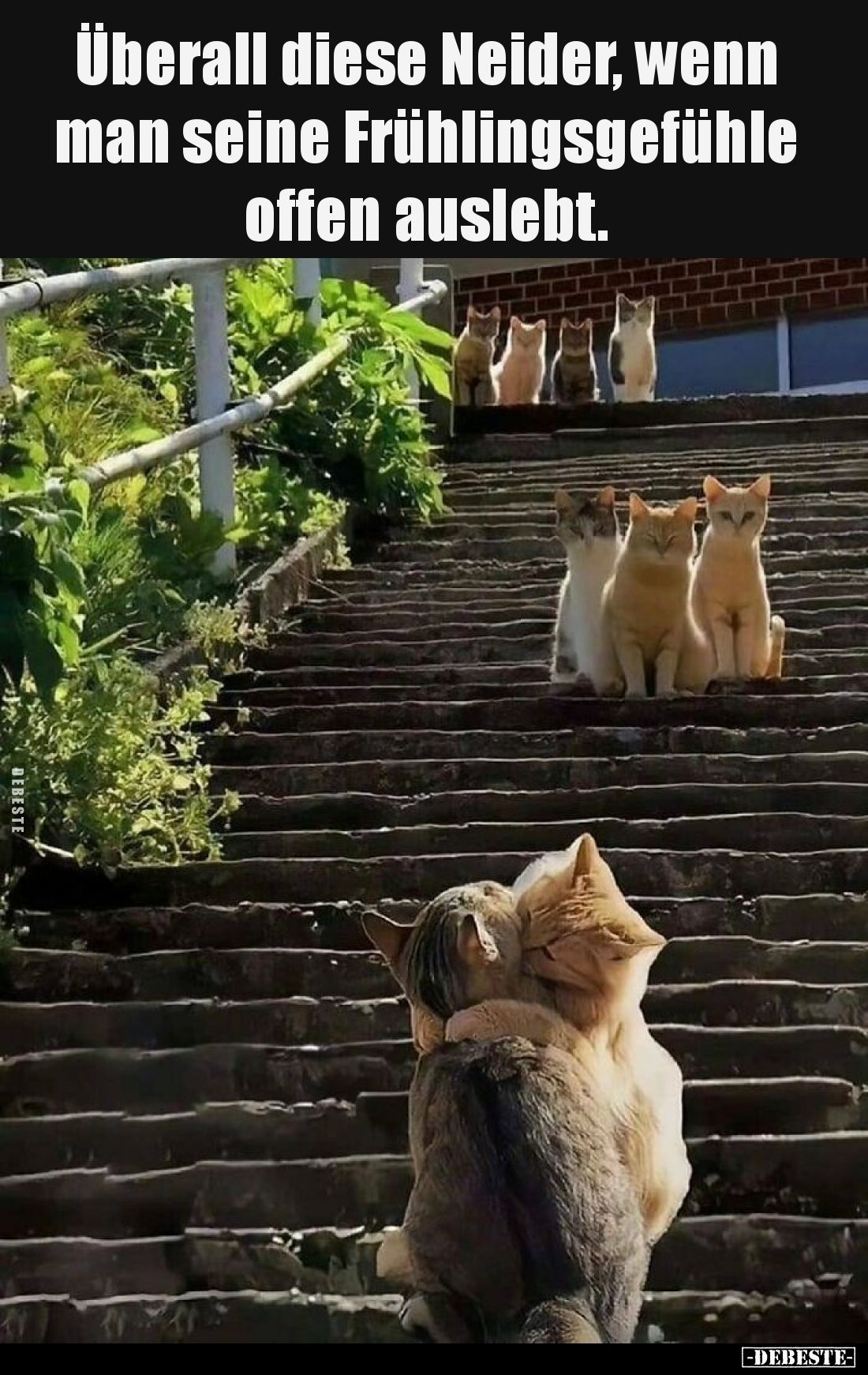 Überall diese Neider, wenn man seine Frühlingsgefühle offen auslebt.