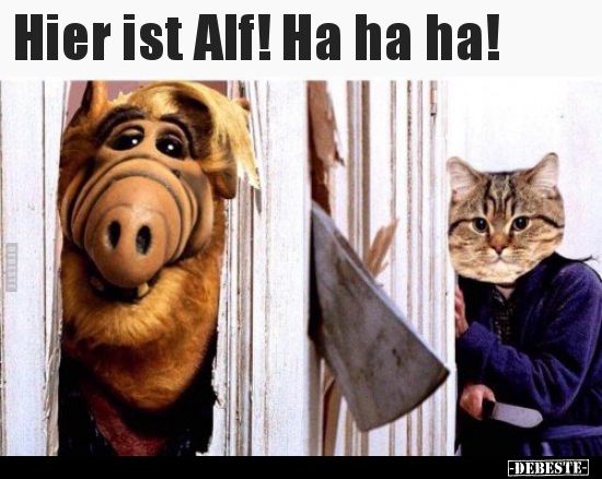 Hier ist Alf! Ha ha ha!.. - Lustige Bilder | DEBESTE.de