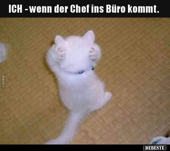 ICH - wenn der Chef ins Büro kommt... - Lustige Bilder | DEBESTE.de