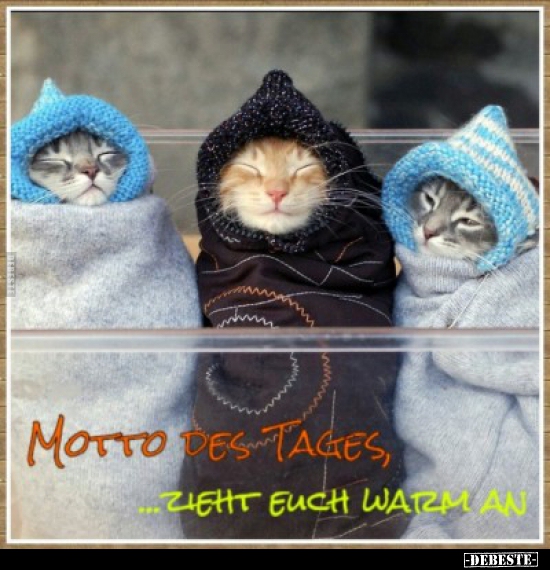 Motto des Tages, ... zieht euch warm an. - Lustige Bilder | DEBESTE.de