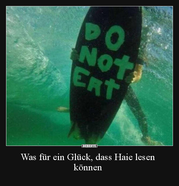 Was für ein Glück, dass Haie lesen können.. - Lustige Bilder | DEBESTE.de