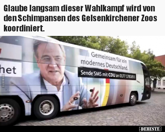 Glaube langsam dieser Wahlkampf wird von den Schimpansen.. - Lustige Bilder | DEBESTE.de