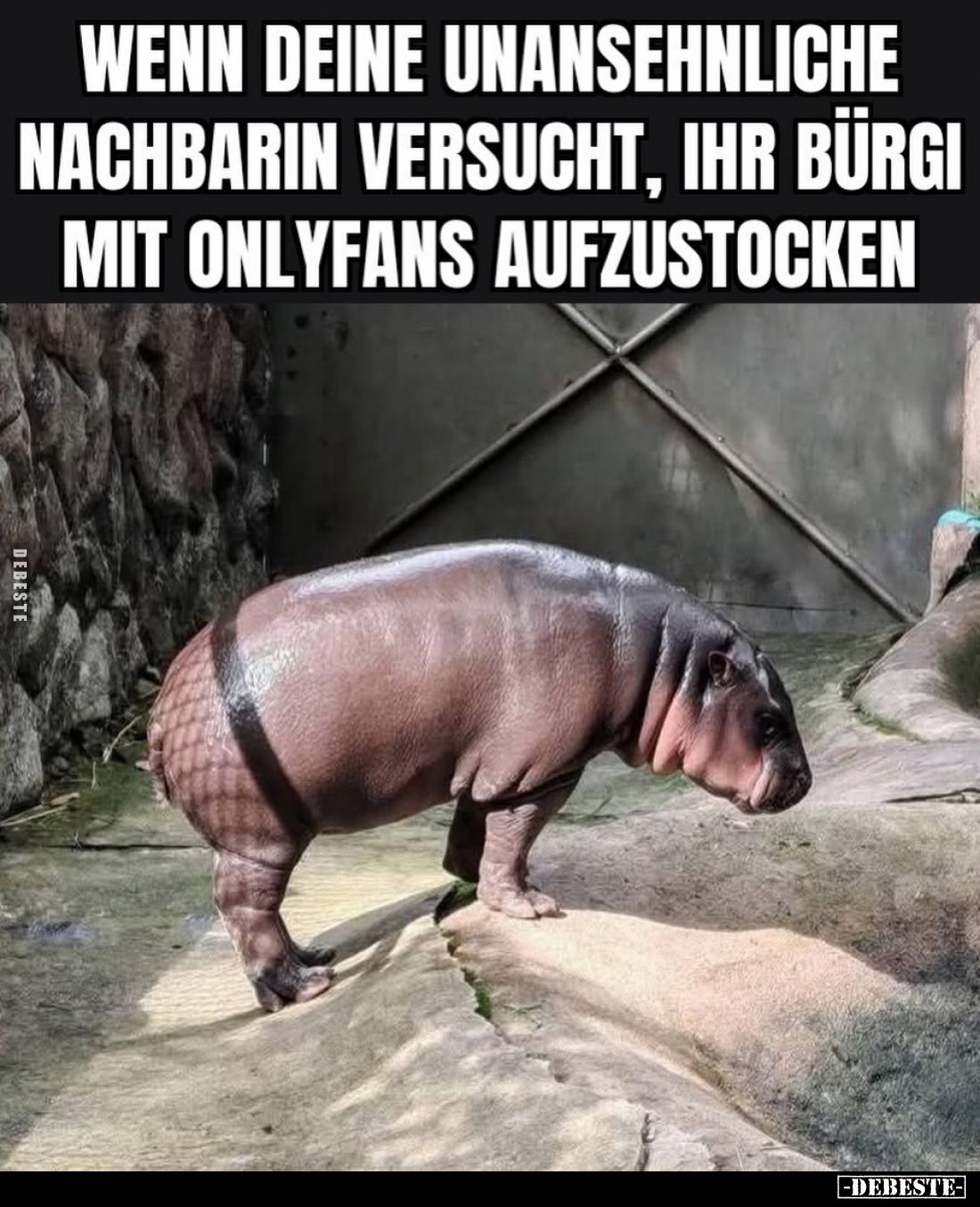 Wenn deine unansehnliche Nachbarin versucht, ihr Bürgi mit Onlyfans aufzustocken.