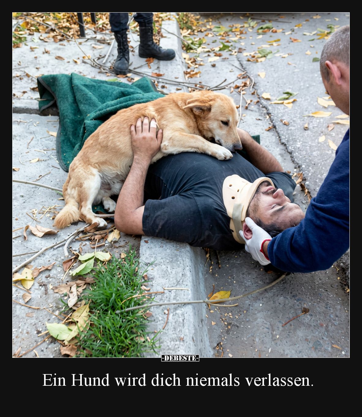 Ein Hund wird dich niemals verlassen... - Lustige Bilder | DEBESTE.de