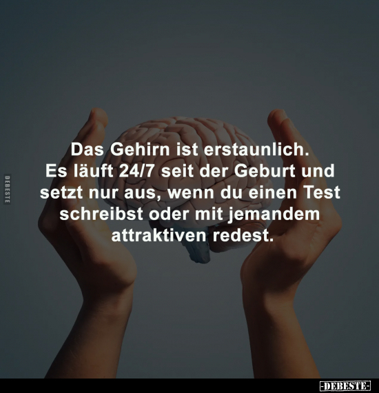 Gehirn, Läuft, Geburt, Wenn, Test