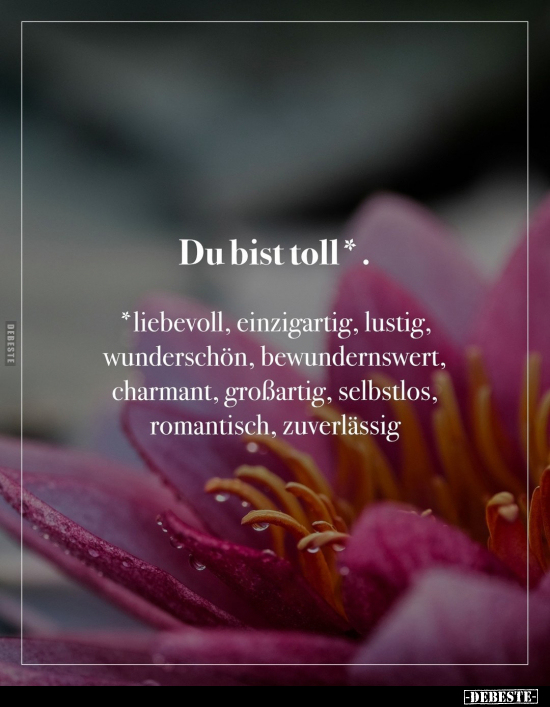 Du bist toll*.. - Lustige Bilder | DEBESTE.de