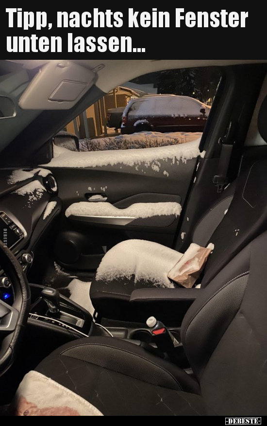 Tipp, nachts kein Fenster unten lassen...