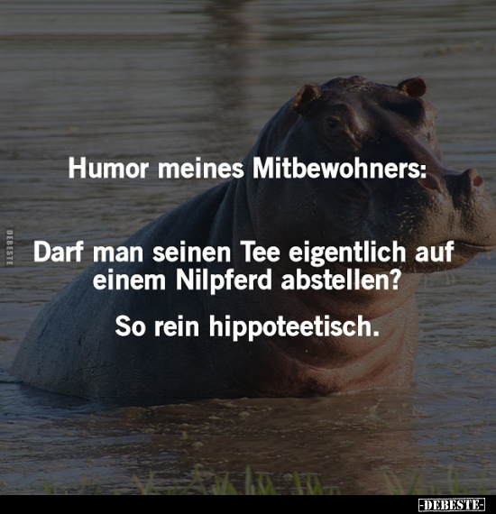 Humor meines Mitbewohners.. - Lustige Bilder | DEBESTE.de