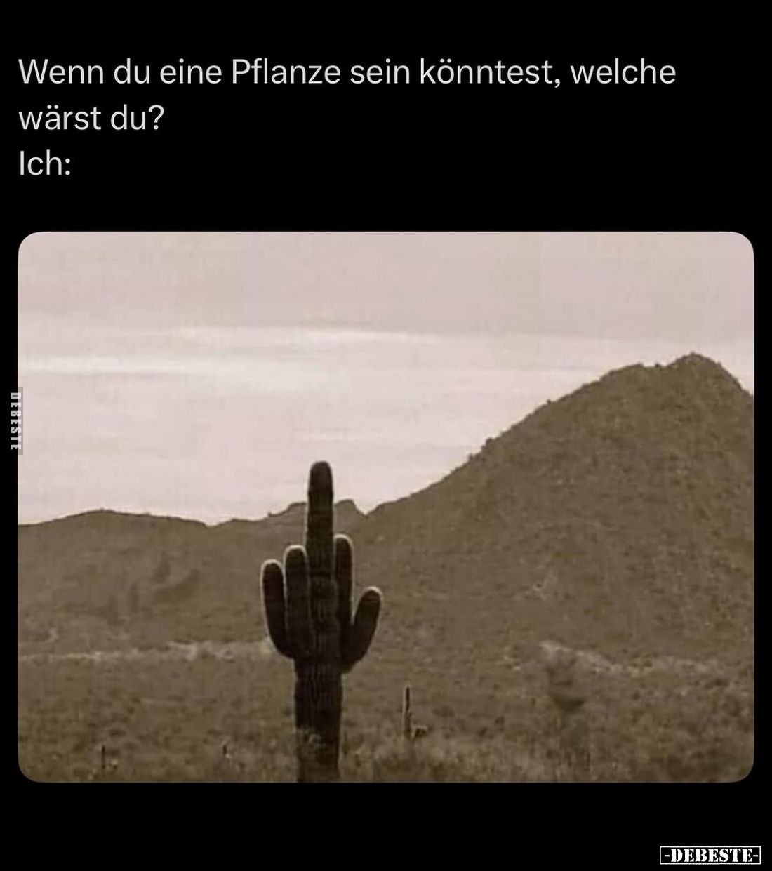 Wenn du eine Pflanze sein könntest, welche wärst du?