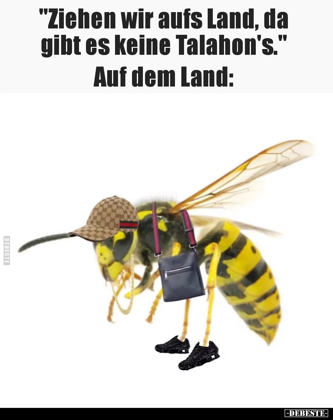 "Ziehen wir aufs Land, da gibt es keine Talahon's."
Auf dem Land: