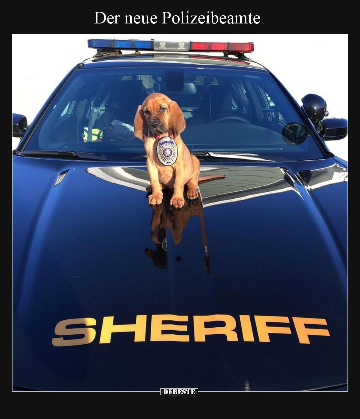 Der neue Polizeibeamte